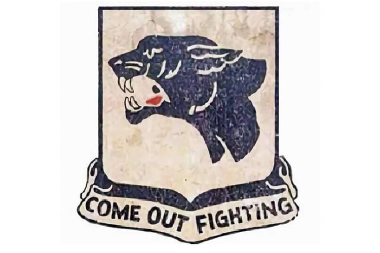BLACK FACTS: The 761st Tank Battalion - "Come Out Fighting"